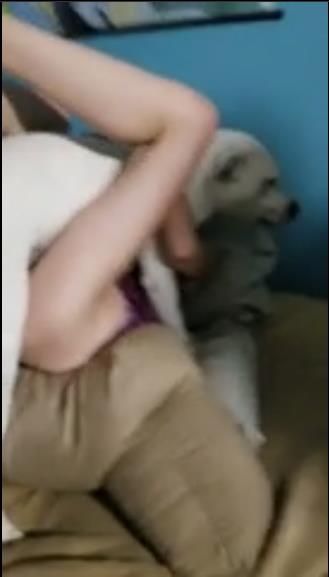 سكس كلاب جديد الكلب الابيض ينيك فتاة علي الاريكة بكل قوته