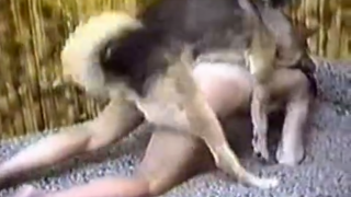 افلام سكس كلاب – نيك عاهرات ثنائي من كلب شرس في الجنس