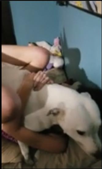 نيك dogs مع بنات – المتعة الجنسية مع الكلب الشقي واشباع الرغبة