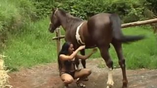 عاهرة لاتينية قذرة تفتح الأرجل لتتعامل مع الديك الحصان في عمل جنسي مثير