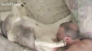 شاب ينيك كلبه – أقوي وأجمد فيديو سكس حيوانات علي الاطلاق