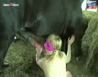 حصان أسود كبير يمارس الجنس مع فتاة من الخلف بقضيبه الضخم