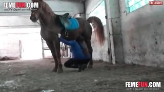 بنت تمتص قضيب بالاسطبل – مقطع سكس خيول حصان حيوان مع فتيات