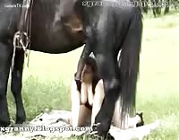 ناضجة تمارس الجنس مع الحصان تجلس اسفل الحيوان وتمتص زبره