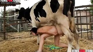 وقحة ترش حليب البقر على ثديها الكبيرة ووجهها في حديقة حيوانات