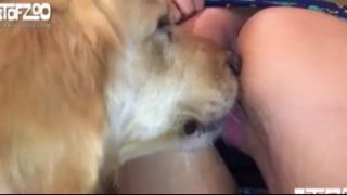 افلام نيك كلاب مع بنات حيوان يمارس الجنس مع فتاة عاهرة